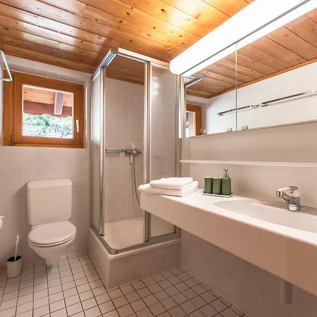 Mirador Auf Der Sonnenterrasse Von Apartment Saas-Fee