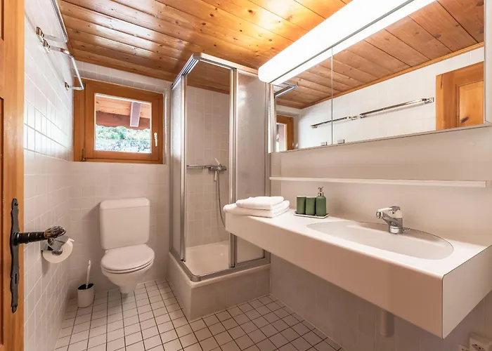 Mirador Auf Der Sonnenterrasse Von Apartment Saas-Fee