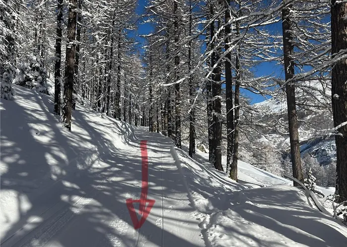 Mirador Auf Der Sonnenterrasse Von Apartment *